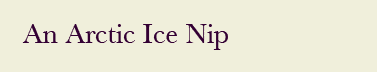 an arctic ice nip